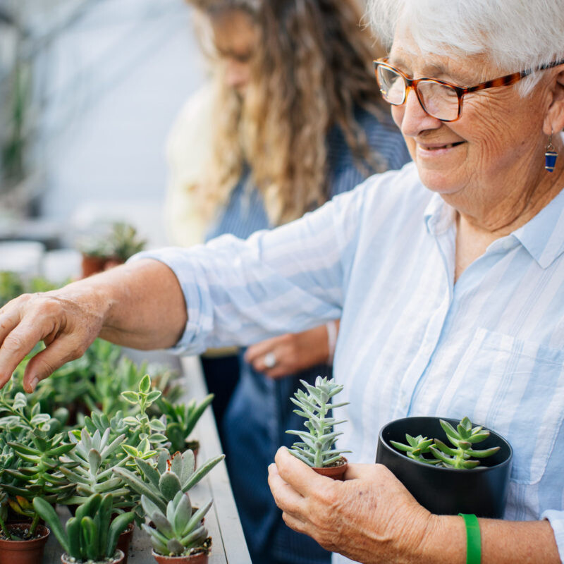 client selecting succulent plants at Ladies Night out